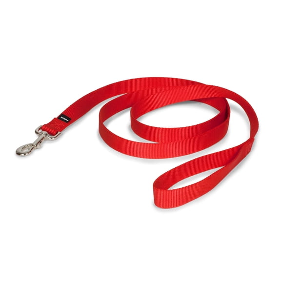 Correa PetSafe de nailon para perros, 1 pulgada x 6 pies, resistente y duradera, roja