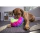 thumbnail image 4 of Pelota de peluche para perros GoDog Furballz Squeaky, protector masticable, arcoíris, 4 of 9