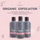 thumbnail image 4 of Exfoliante facial para el cuidado de la piel con duraznos, vegano, con arándanos, 4 of 8