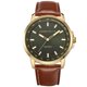 thumbnail image 1 of Reloj Perry Ellis 43 mm Solar de Cuero Vegano Dorado, 1 of 9