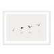 thumbnail image 1 of Cuadro Aves En La Playa con Marco Blanco, 1 of 1