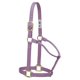 thumbnail image 1 of Cabestro para caballo Weaver Equine Original de nailon lavanda, 1 of 1