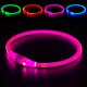 thumbnail image 2 of Collar LED para perros BSEEN, recargable por USB, para perros pequeños, medianos y grandes, 2 of 8