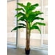 thumbnail image 3 of Planta Artificial Banano Premium 230 cm. / 26 Hojas, 3 of 8
