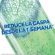thumbnail image 2 of Shampoo Fructis Fortificante Anticaspa Graso Botella, 350 ml, 2 of 8