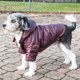 thumbnail image 2 of Abrigo para perro Pet Life ® Sporty Avalanche ligero e impermeable, 2 of 2