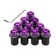 thumbnail image 1 of Juego de tornillos tornillos parabrisas universales de 10 piezas Tornillo M5 Perno de 5 mm púrpura, 1 of 5