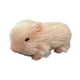 thumbnail image 1 of Silicone Baby Pig Juega Muñeca De Cerdo Recién Nacido Para Niños De Juego De Roles, 1 of 5