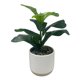 thumbnail image 1 of Planta Artificial 2 31cm, 1 unidad, 1 of 4
