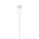 thumbnail image 3 of Cable Lightning a USB Apple 1.0 Mt, 3 of 3