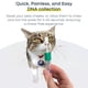 thumbnail image 5 of Kit de prueba de ADN para gatos Basepaws, análisis integral de raza y salud, 5 of 9