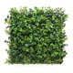 thumbnail image 1 of Jardin Vertical Tropical, 1 of 2