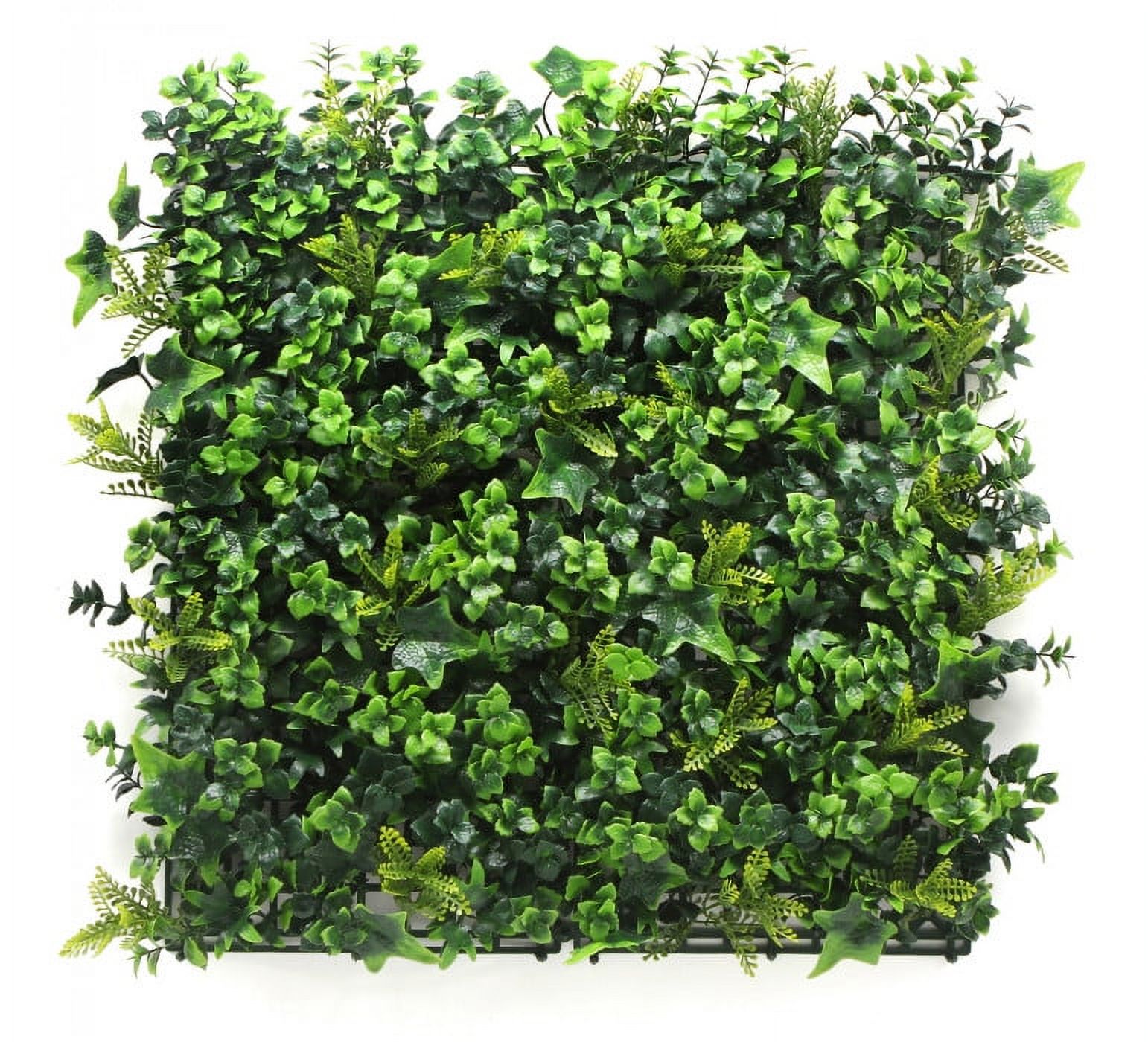 Signet - Jardin Vertical Tropical