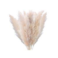 Santú Home & Deco - Ramo 10 Pampas Secas Decorativas
