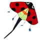 thumbnail image 2 of Ladybug Fly Kite Easy To Fly Triangle Kite Con Cuerda Delta Kite Para Deportes, 2 of 5