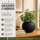 thumbnail image 4 of Macetero Plastico Redondo Tipo Piedra Decorativo Jardin M negro, 4 of 10