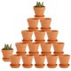 thumbnail image 1 of Macetas de terracota Juvale de 5 cm, paquete de 16 con platillos para suculentas, 1 of 9