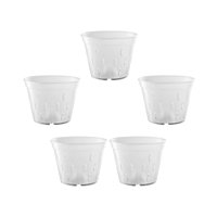 Ioensy - Macetas Transparentes Para Orquídeas, Macetero Transparente Para Sala De Estar, Dormitorio, Sin Platillo, 7 Pulgadas