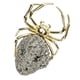 thumbnail image 5 of Decoraciones De Cristal Mineral De Aleación Para Comedor Aniversario Decoración Para El Hogar Araña Dorada, 5 of 6