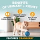 thumbnail image 2 of Suplemento Urinario Para Gatos Urinary + Kidney Support, 2 of 7