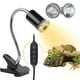 thumbnail image 1 of Turtle Basking Light REPTI HOME Cycle Timer UVA UVB 50 W, paquete de 2 unidades, 1 of 3