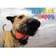 thumbnail image 1 of Tarjeta de cumpleaños Glory To Dog 13 cm x 18 cm, 1 of 7