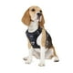 thumbnail image 1 of Arnés para perros Funfox, tamaño mediano, ajustable, negro, 1 of 3