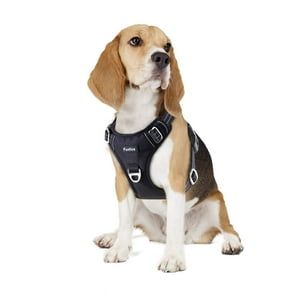 Arnés Para Perros Funfox, Tamaño Mediano, Ajustable, Negro