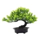 thumbnail image 3 of Árbol De Bonsái Artificial Árbol De Bonsái Falso Para Sala De Estar Patio Pantalla De Escritorio Verde, 3 of 5
