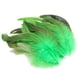 thumbnail image 2 of 50 Plumas Para Manualidades, Decoraciones Para Bodas, Fabricación De Joyas, Color Verde, 2 of 5