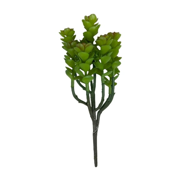 Cactus Boxwood 20cm Súper Realista