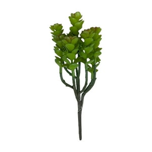 Corel - Cactus Boxwood 20Cm Súper Realista