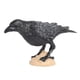 thumbnail image 4 of Figuras De Loro, Juguete Educativo Realista, Figuras De Pájaros De Cuervo, Recuerdos De Fiesta, 4 of 5