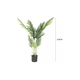 thumbnail image 3 of Planta Artificial en Maceta Enredadera Palmera Decoración, 3 of 3