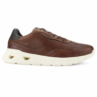 Zapatilla Café Hombre Casual Ferracini 8352 Speed