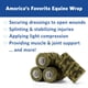 thumbnail image 5 of Venda Cohesiva Powerflex Equine Extra Fuerte De 4 Pulgadas, 5 of 9