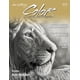 thumbnail image 1 of Revista COLOR, edición de abril de 2026, 1 of 1