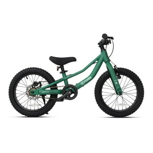 Bicicleta Roda Pro Series Aro 16 Verde