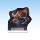 thumbnail image 5 of Juego de mesa de expansión Pendragon Studios The Thing Outpost, 5 of 5