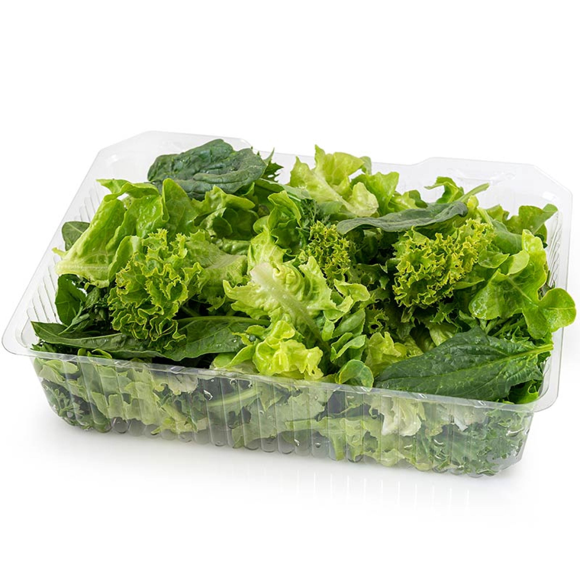 Mix Ensalada Spring Orgánico Pote 150 g