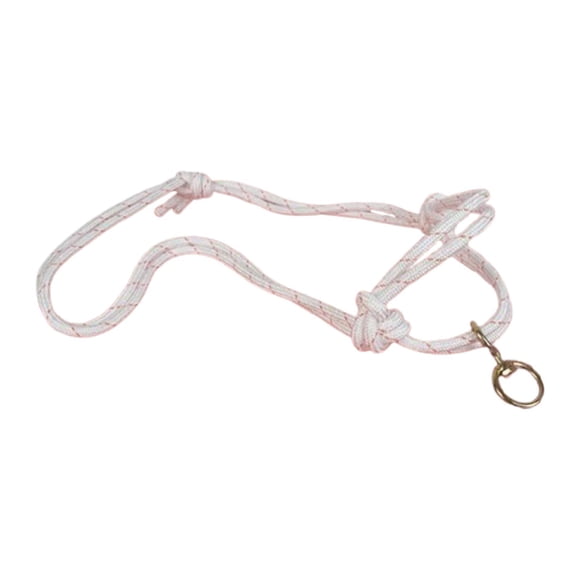Halter De Vaca, Granjas Profesionales, Arnés De Cabeza De Toro, Accesorios Para Pantorrilla, Brida De Toro Grande
