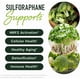 thumbnail image 2 of Suplemento Sulforafano Smnutrition 50 Mg Brotes De Brócoli Nrf2, 2 of 3