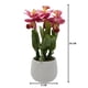 thumbnail image 5 of Planta Artificial Orquidea Rosada Decorativa Macetero Loza, 5 of 5