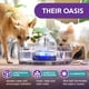 thumbnail image 2 of Pet Fountain Brook Glass 2.7 L para gatos y perros pequeños con filtro, 2 of 6