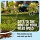 thumbnail image 4 of Herbicida Roundup Crabgrass Destroyer2 1,9 L listo para usar, 4 of 9
