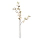 thumbnail image 1 of Cerezo en Flor Crema 89 cm, 1 of 1