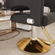 thumbnail image 2 of Professional Hydraulic Barber Chair - 360° Swivel with Adjustable Height, Stainless Steel Armrests & Reclining Backrest for Salon & Barber Shop(black + gold) (Single Pack), 2 of 3