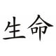 thumbnail image 1 of Decomural Life Chinese Symbol WS-16087, 1 of 2
