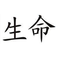 Rienda Libre Graphics - Decomural Life Chinese Symbol Ws-16087