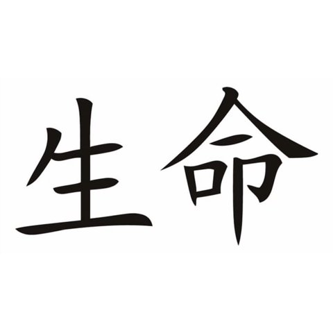 Rienda Libre Graphics - Decomural Life Chinese Symbol Ws-16087